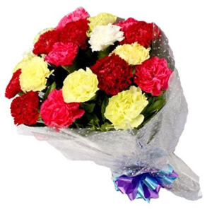 Mixed Carnation Bouquet