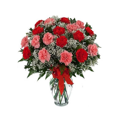 Very Berry Carnations