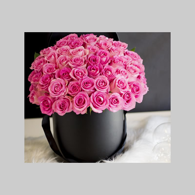 4 Dozen Pink Roses
