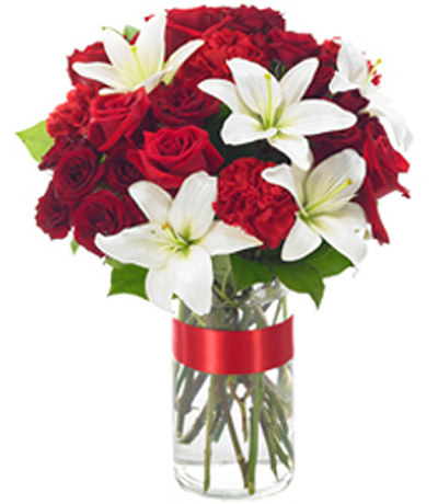 Highlights of Elegance