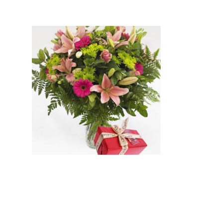 Velvet Valley+ Chocolates