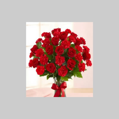 Red Roses and Carnations