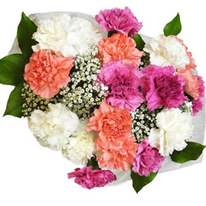 Assorted Carnations