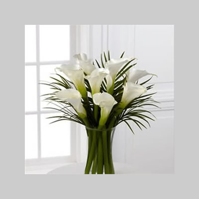 Calla Lilies in a Vase