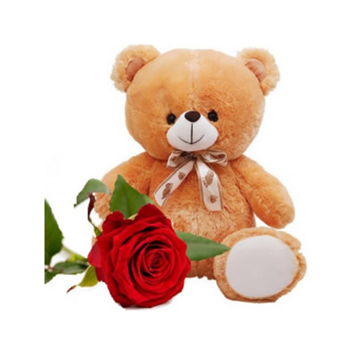 Teddy Bear and Rose