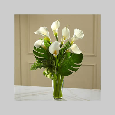 Lux Calla Lilies