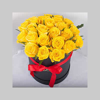 Colored Dream Hat Box