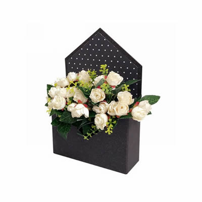 Black Beauty Envelope