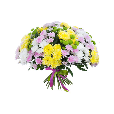 Multicolored Chrysanthemum
