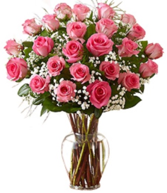 Two dozens pink roses