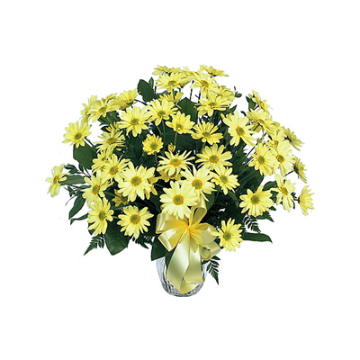 Yellow Mums